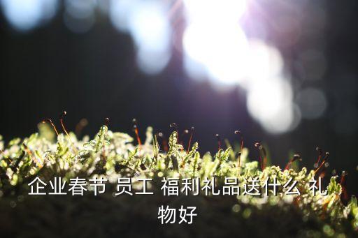 企业春节 员工 福利礼品送什么 礼物好