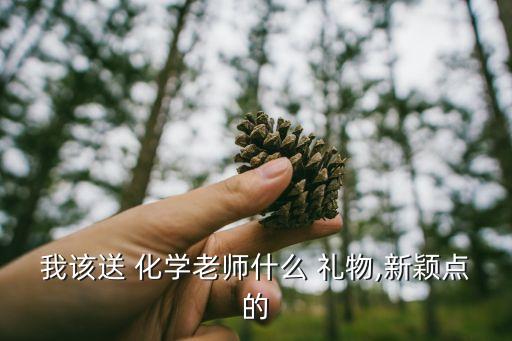 我该送 化学老师什么 礼物,新颖点的