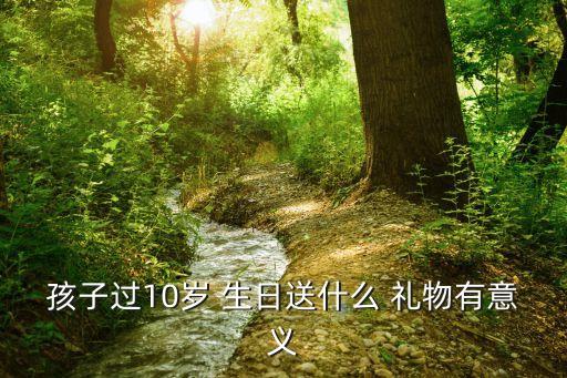 10岁男孩生日礼物,10岁男孩生日礼物从他人送到自己的礼物