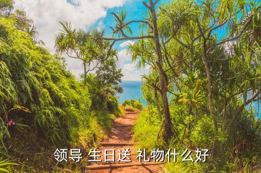  领导 生日送 礼物什么好