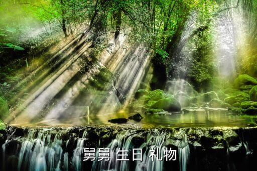  舅舅 生日 礼物
