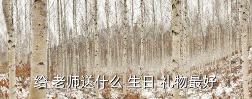 给 老师送什么 生日 礼物最好