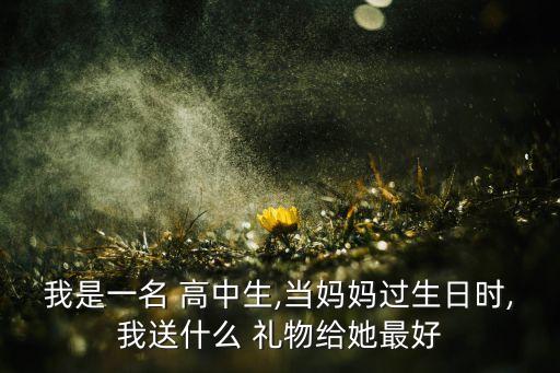 我是一名 高中生,当妈妈过生日时,我送什么 礼物给她最好