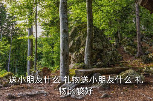 送小朋友什么 礼物送小朋友什么 礼物比较好