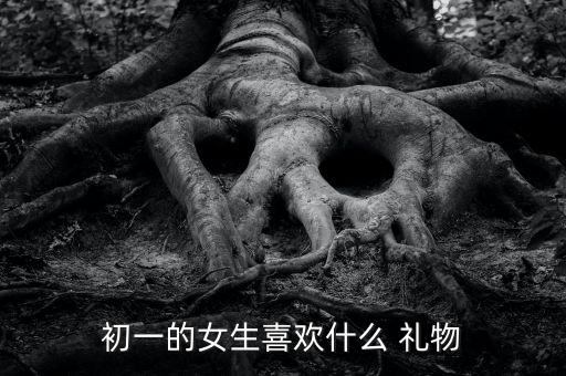 初一的女生喜欢什么 礼物