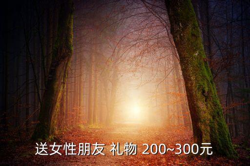 送女性朋友 礼物 200~300元
