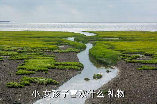 小 女孩子喜欢什么 礼物