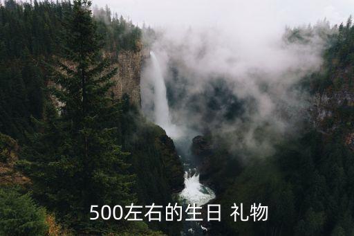  500左右的生日 礼物