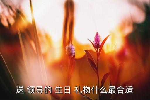 给领导送生日礼物,发送领导生日礼物什么最合适?