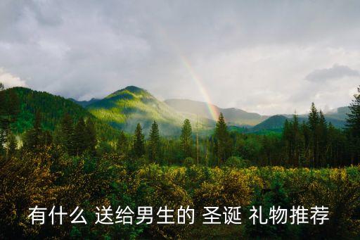 有什么 送给男生的 圣诞 礼物推荐