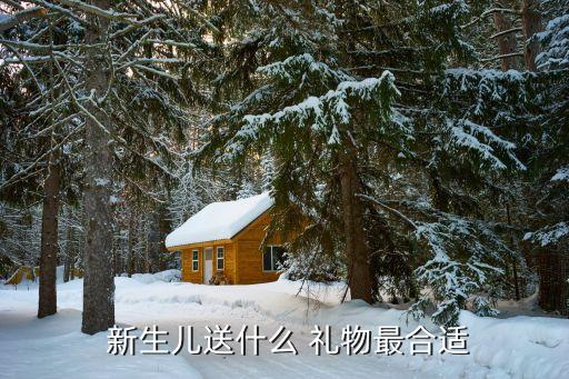  新生儿送什么 礼物最合适
