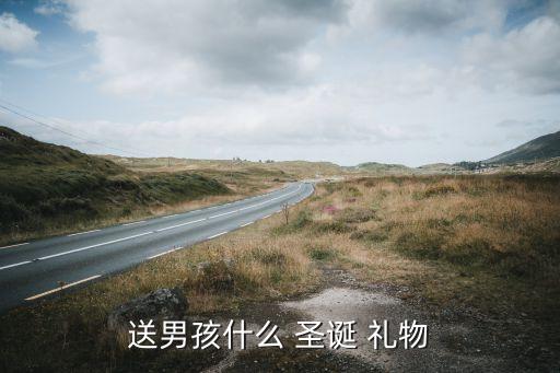 送男孩什么 圣诞 礼物