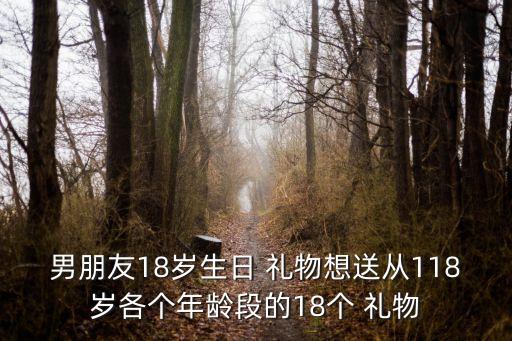 男朋友18岁生日 礼物想送从118岁各个年龄段的18个 礼物