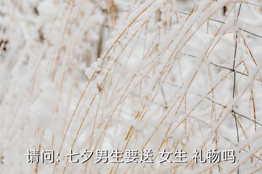 请问: 七夕男生要送 女生 礼物吗
