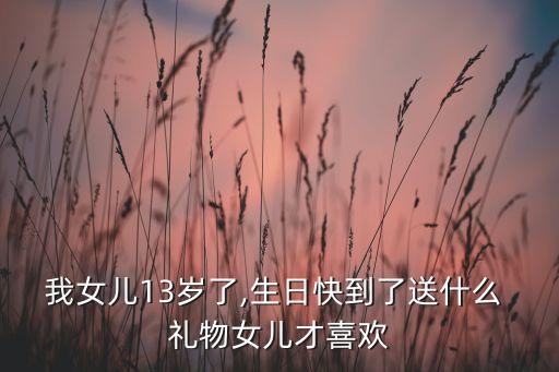 我女儿13岁了,生日快到了送什么 礼物女儿才喜欢