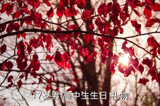高中的男孩送什么礼物好,送孩子成年礼物什么礼物最适合?