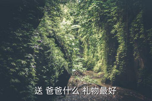 送 爸爸什么 礼物最好