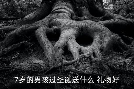 7岁的男孩过圣诞送什么 礼物好