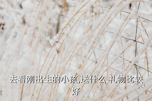 去看刚出生的小孩,送什么 礼物比较好