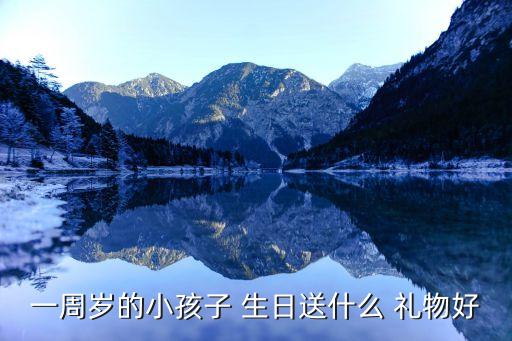 一周岁的小孩子 生日送什么 礼物好