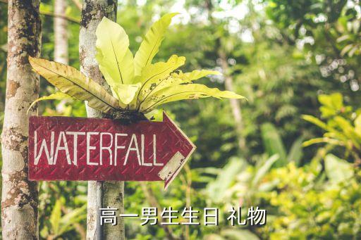  高一男生生日 礼物
