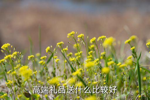 高端礼品送什么比较好