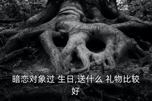 暗恋对象过 生日,送什么 礼物比较好