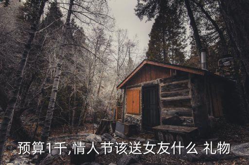 预算1千,情人节该送女友什么 礼物
