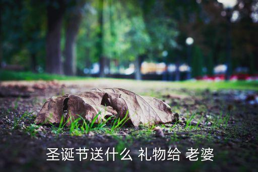  圣诞节送什么 礼物给 老婆