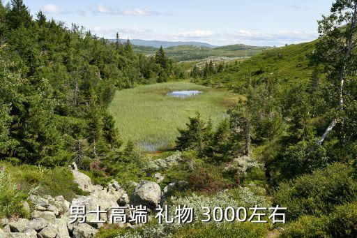 男士高端 礼物 3000左右