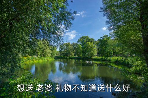 想送老婆礼物买什么好,情人节礼物也要挑对对方心仪礼物!
