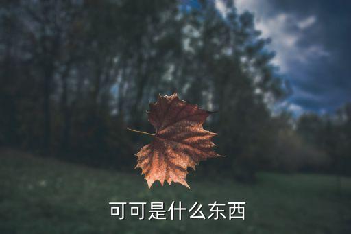  可可是什么东西