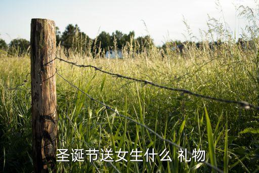 圣诞节送女生什么 礼物