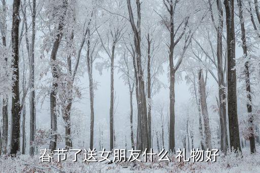 春节了送女朋友什么 礼物好