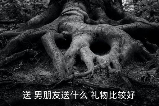 送 男朋友送什么 礼物比较好