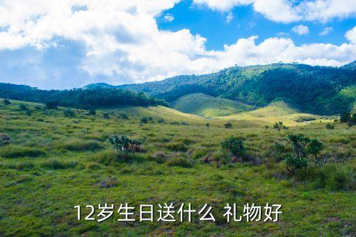 12岁生日送什么 礼物好