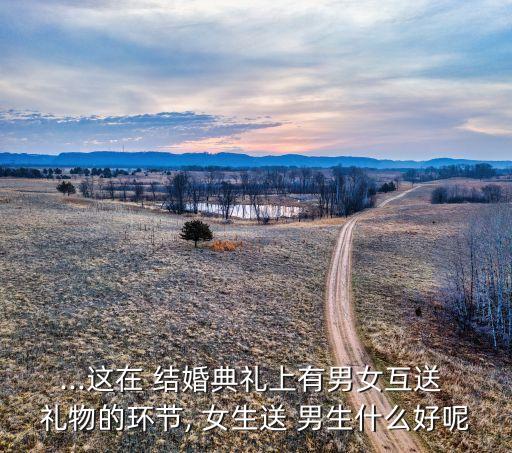 ...这在 结婚典礼上有男女互送 礼物的环节, 女生送 男生什么好呢