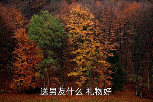 送男友什么 礼物好