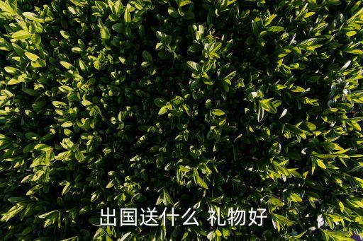  出国送什么 礼物好