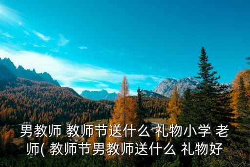 男教师 教师节送什么 礼物小学 老师( 教师节男教师送什么 礼物好