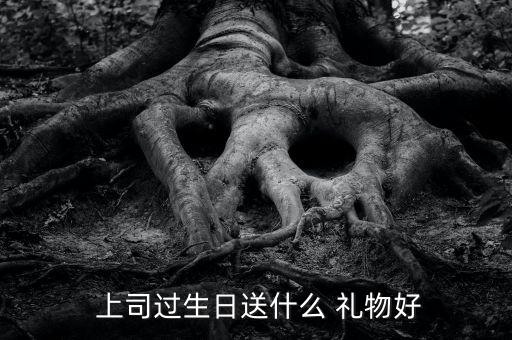  上司过生日送什么 礼物好