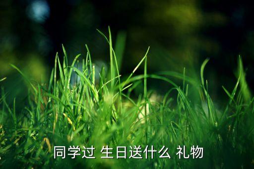  同学过 生日送什么 礼物