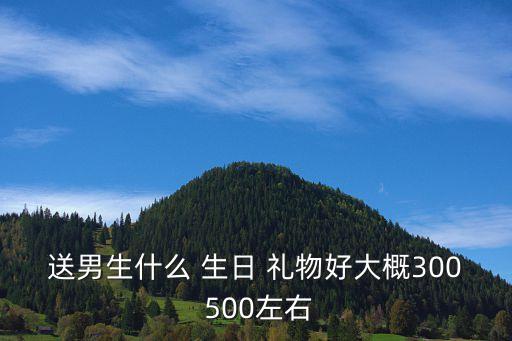 送男生什么 生日 礼物好大概300 500左右