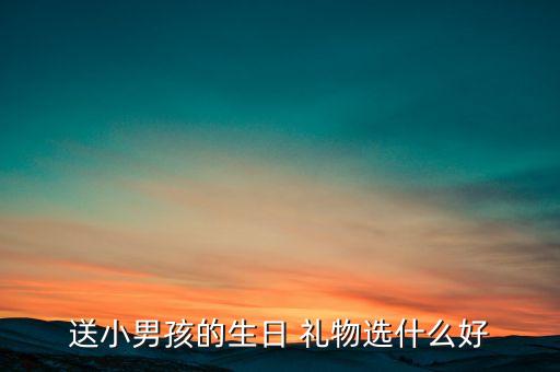 给男童送什么礼物好,男孩生日礼物知多少?问与答（13）