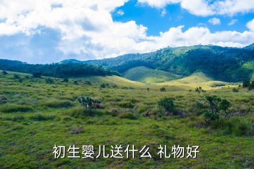 初生婴儿送什么 礼物好