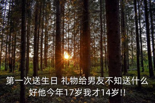 第一次送生日 礼物给男友不知送什么好他今年17岁我才14岁!!