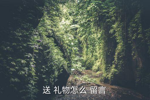 送 礼物怎么 留言