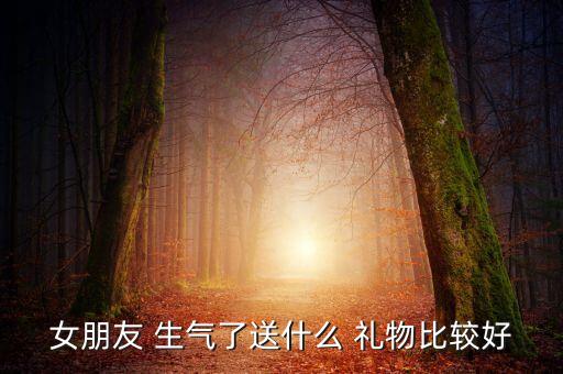 女朋友 生气了送什么 礼物比较好