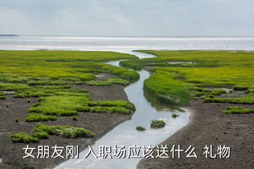 女朋友刚 入职场应该送什么 礼物