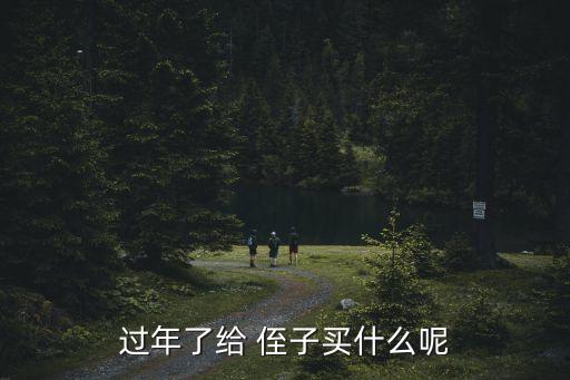 过年了给 侄子买什么呢